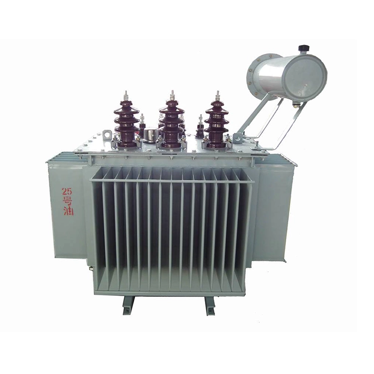 Máy biến áp điện tổn thất thấp chứa dầu 160kva Máy biến áp điện tổn thất thấp chứa dầu 160kva
