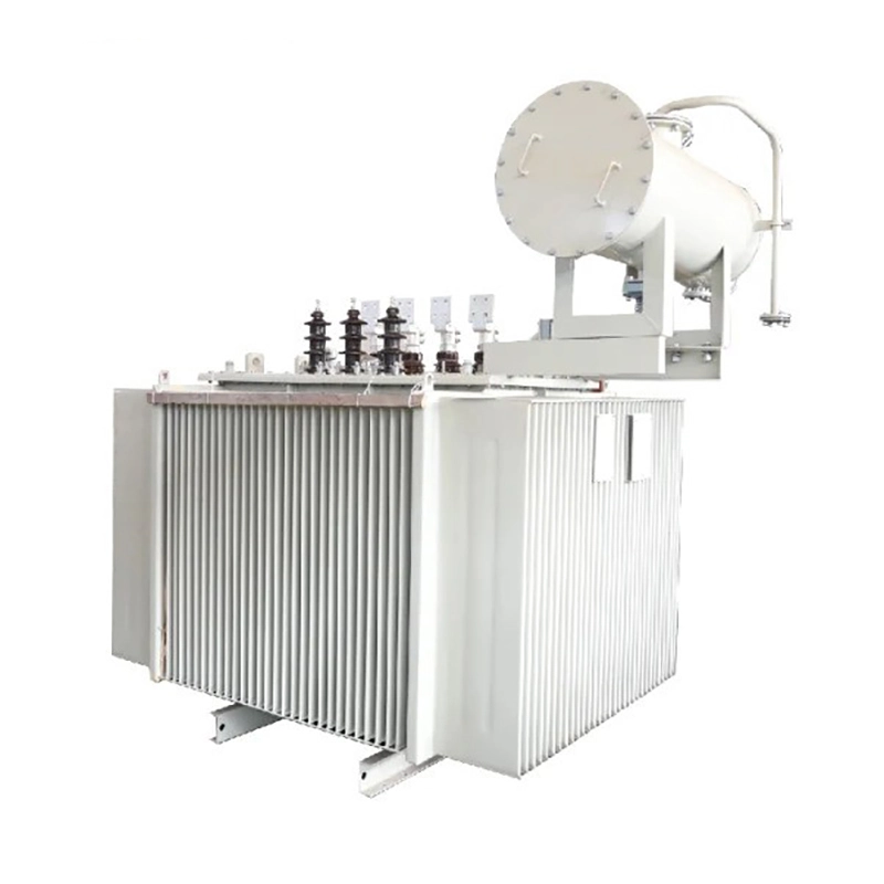 Máy biến áp điện 22kv ngâm dầu 1000kva Máy biến áp điện 22kv ngâm dầu 1000kva